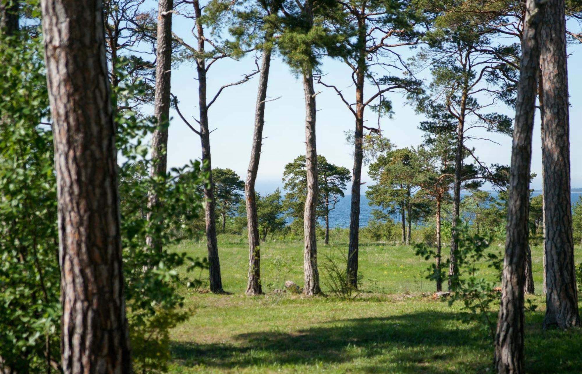 Gotlands Idrottscenter Vandrarhem Форёсунд Номер фото
